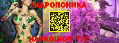 jwh Кинель