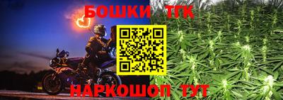 гидропоника Кингисепп